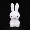 The-most-popular-rabbit-custom-silicone-night